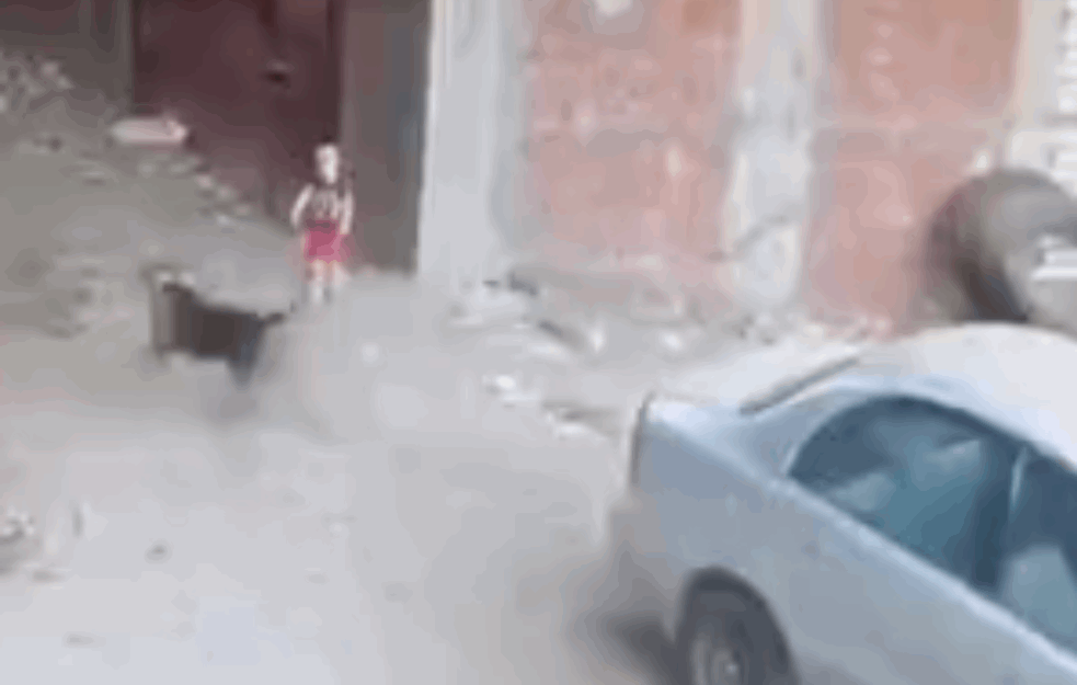 NAJHRABRIJA MAČKA NA SVETU: Pas uhvatio dečaka za vrat a onda se pojavila ONA (VIDEO) 